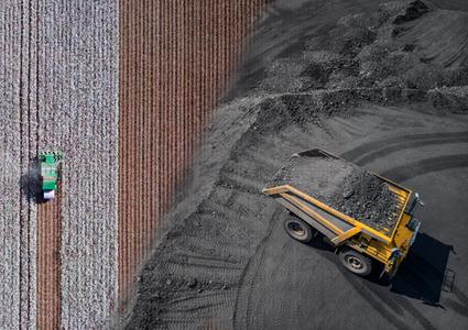 bureau veritas leader in commodities