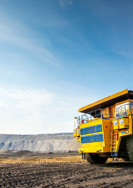 bureau veritas MINING